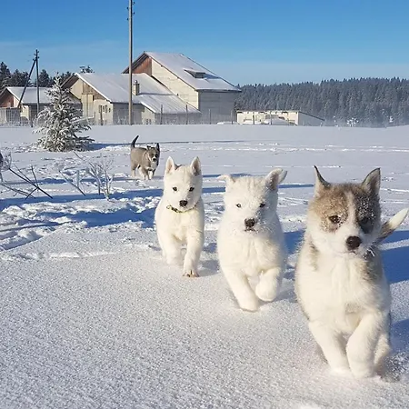 Vent_du_nord Appartement *